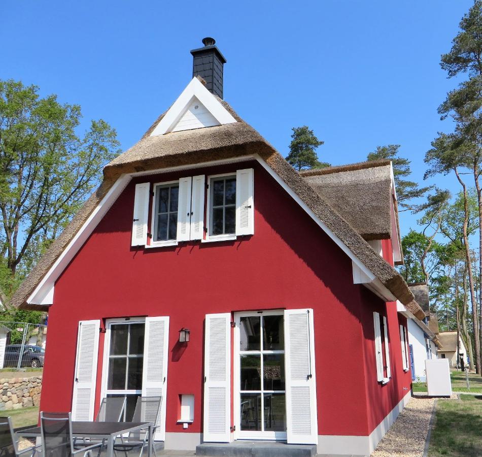 Reetdachhaus Am Haff Mit Sauna, Terrasse, Wlan Zirchow Εξωτερικό φωτογραφία