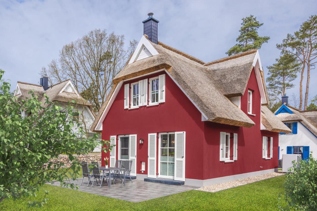 Reetdachhaus Am Haff Mit Sauna, Terrasse, Wlan Zirchow Εξωτερικό φωτογραφία